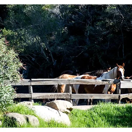 Ranch Campo Palombaggia Porto-Vecchio (Corsica)