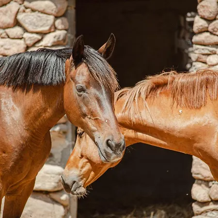 Ranch Campo Palombaggia *