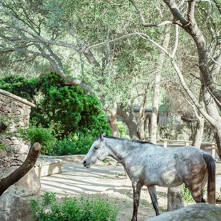 Hotel Ranch Campo Palombaggia Porto-Vecchio (Corsica)