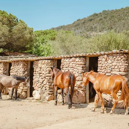 Ranch Campo Palombaggia