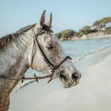 فندق Ranch Campo Palombaggia 3*