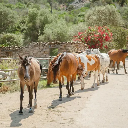 Ranch Campo Palombaggia 3*