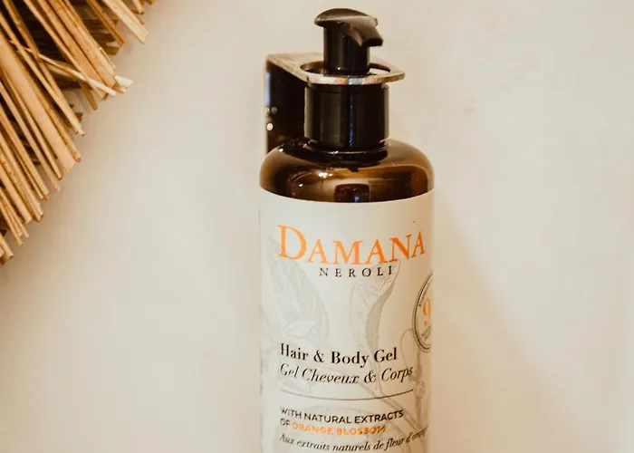 乡村民宿 Ranch Campo Palombaggia 维琪奥港